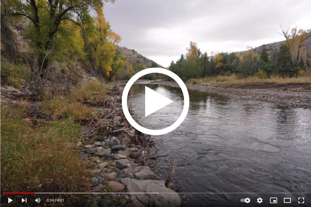 Oddfellows Habitat Enhancement Project